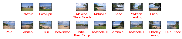 Maui Beach Index